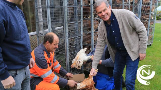 2.846 kippen krijgen nieuwe thuis bij 1.423 Lilse gezinnen : strijd tegen gft-afval