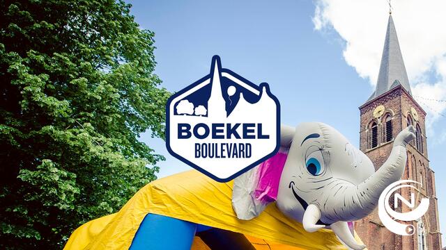 Gladiolen uitverkocht, kom naar gratis Boekel Boulevard