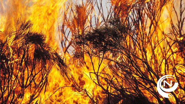 Brandfase rood voor natuurgebieden in de Kempen: wat betekent dat?
