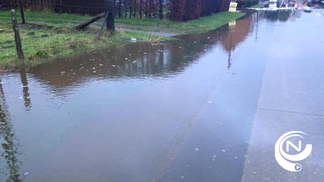 Regenbuien mei en juni zorgen voor heel wat schade in regio Herentals (1)
