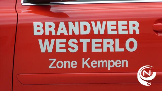 Brand vernielt loods met vrachtwagens in Westmeerbeek 