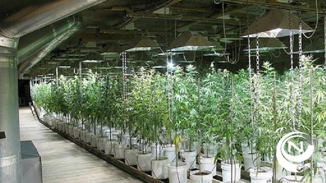 Politie rolt cannabisplantage op in Handboogstraat 
