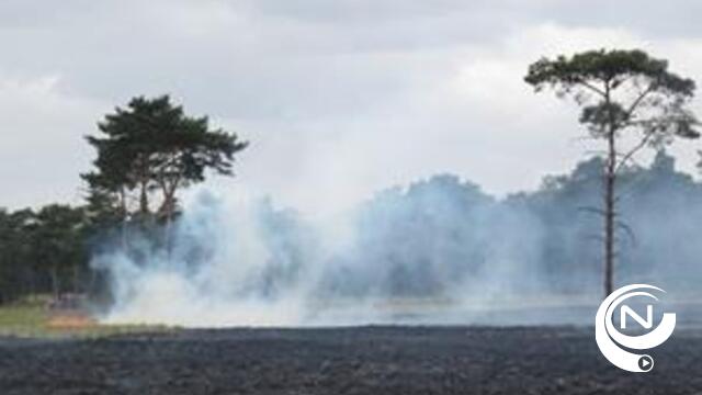 Code oranje: brandgevaar voor bossen en natuurgebieden 