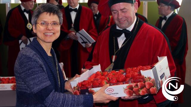 Antwerpse deputatie proeft eerste aardbeien van het seizoen uit Hoogstraten