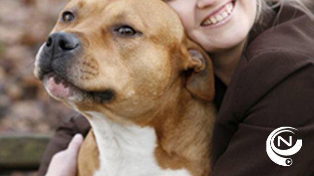 Hondengedragstherapeute laat zich opsluiten in hondenasiel 