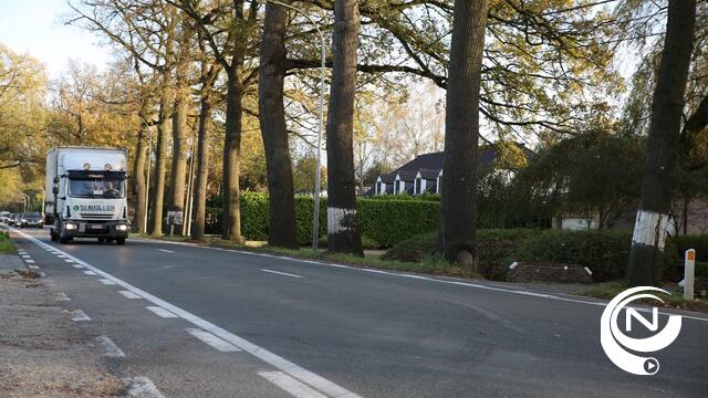 Dit jaar bomenkap voor nieuw fietspad langs N13 Herentals-Grobbendonk 