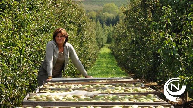Verkoop van peren verdubbeld in België