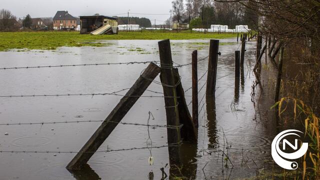 Grote Nete bereikt alarmpeil in Westerlo en Geel-Zammel, wateroverlast in Herselt 