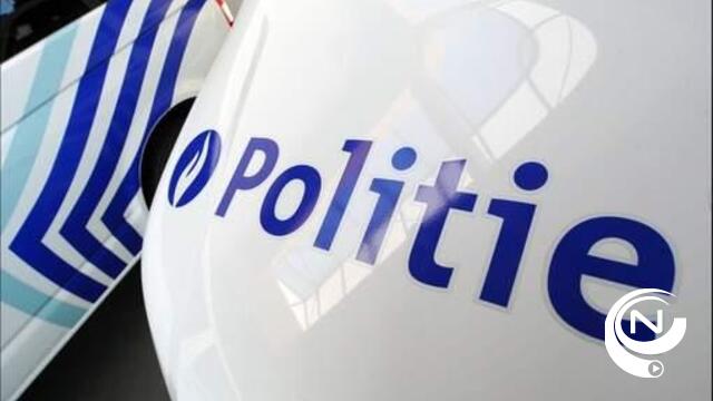 Politie vindt in Poederlee gestolen pony terug in weide in Lichtaart 