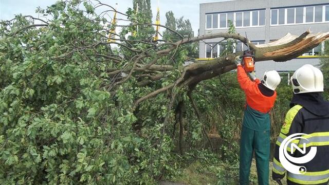 Storm : uitloper orkaan Gonzalo onderweg naar Vlaanderen