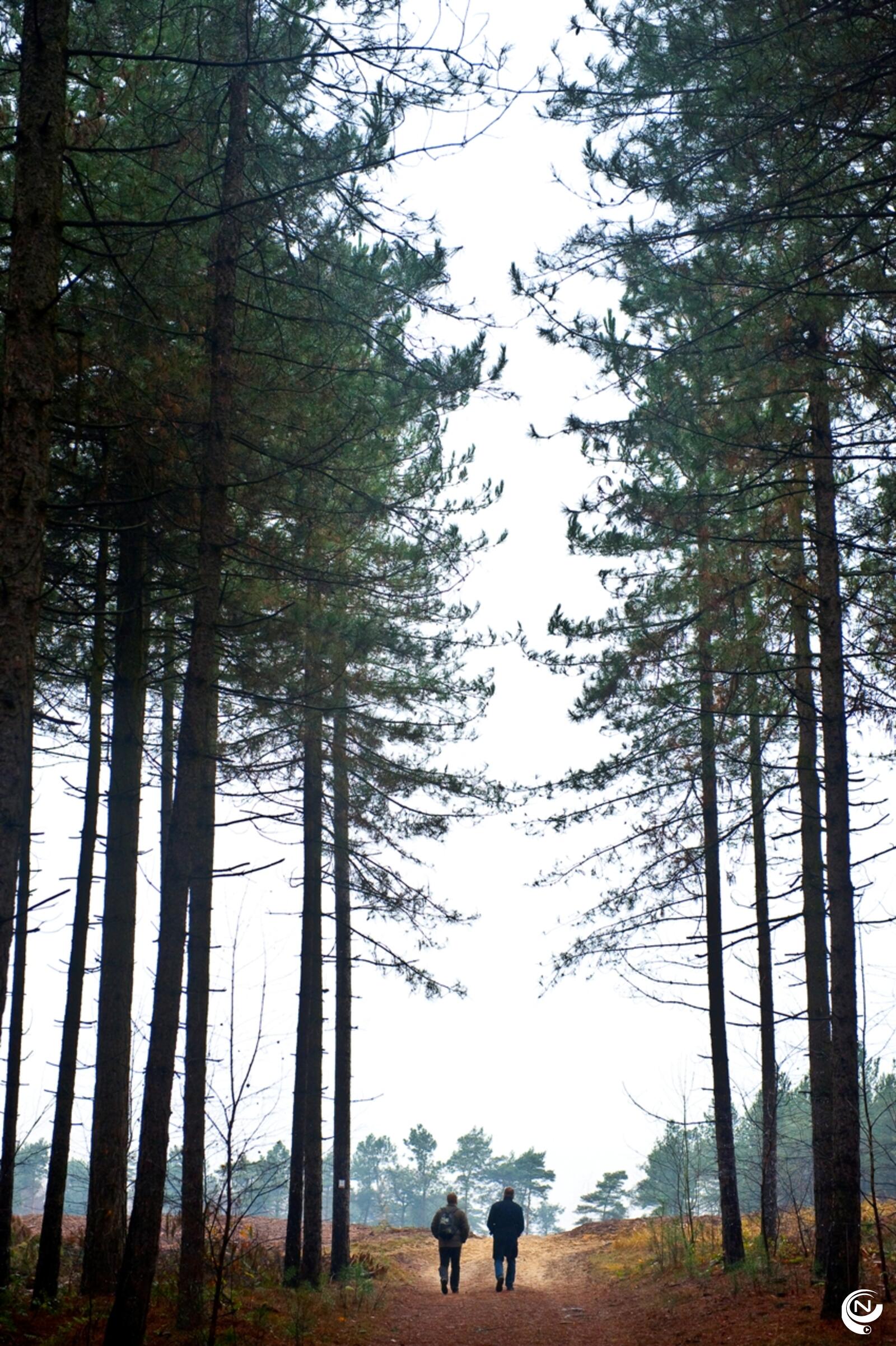 Kempense Heuvel rr foto