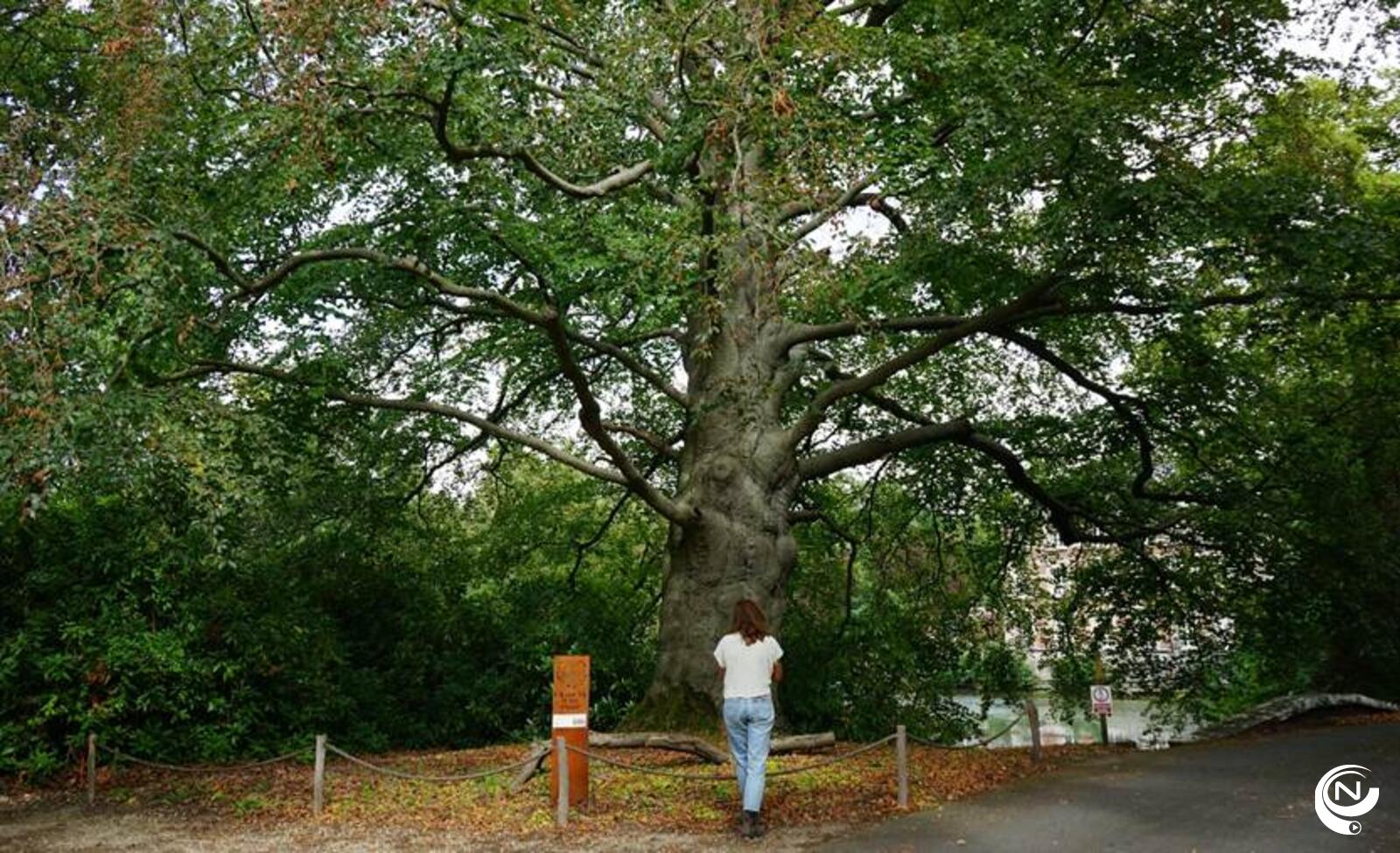 Regionaal Landschap Rivierenland, IOED Berg en Nete 