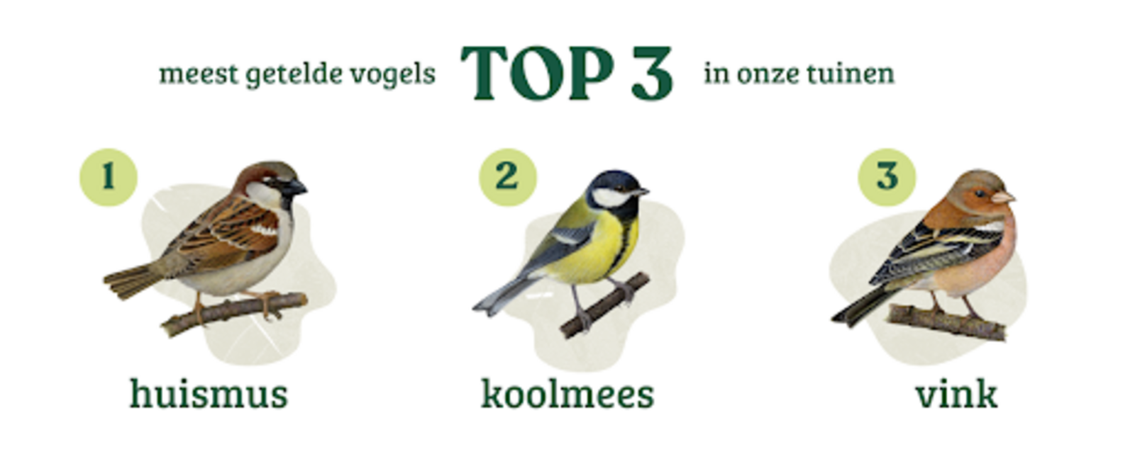 vogeltelweekend 