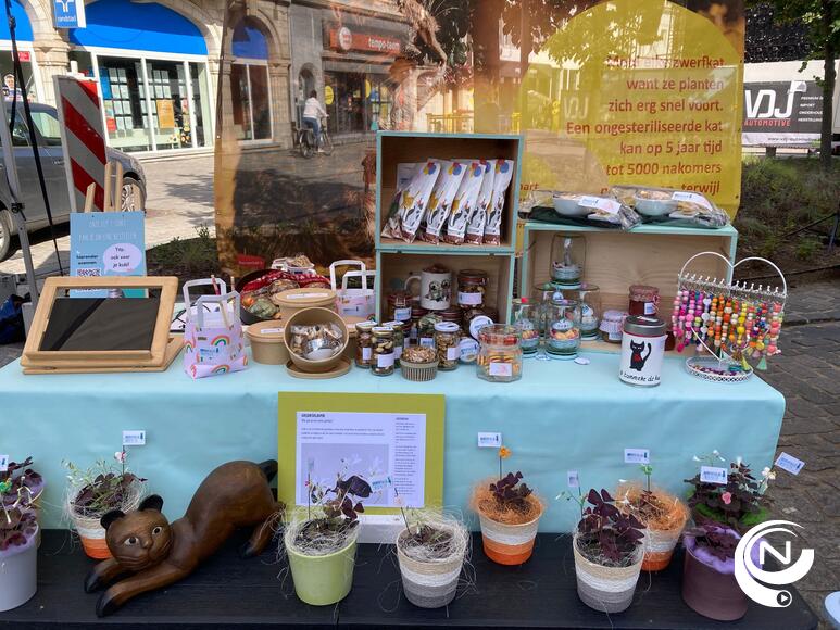 Het hechte team van de erg actieve HZP vzw (Herentalse Zwerfpoezen) staan vandaag met een opvallend puike  stand op de Braderij Herentals.  