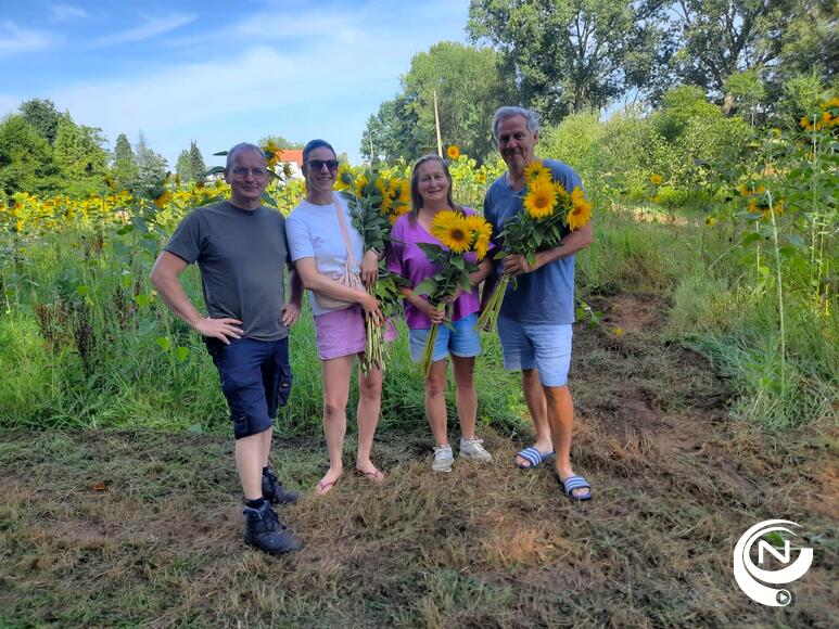 "Geslaagde zonnebloemactie Oakland vzw - een warme zomer vol natuur"