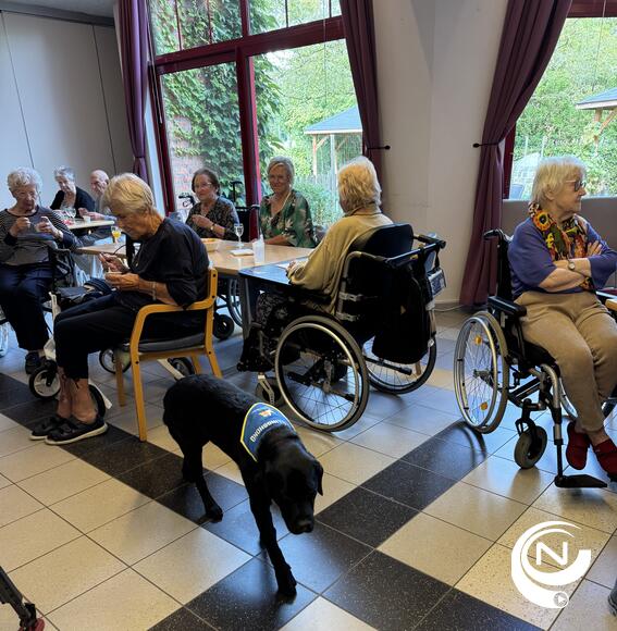 Woonzorgcentrum De Wijngaard verwelkomt instellingshond Charlie