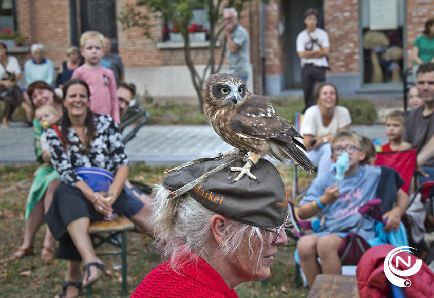 De indrukwekkende roofvogelshow verovert alle harten 