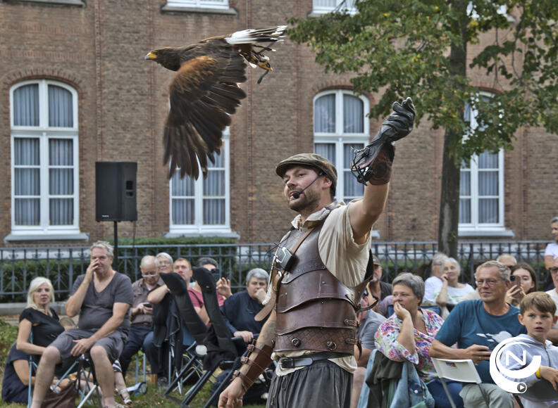 opvallende roofvogelshow valkerij Haristo : Vorselaar bruist