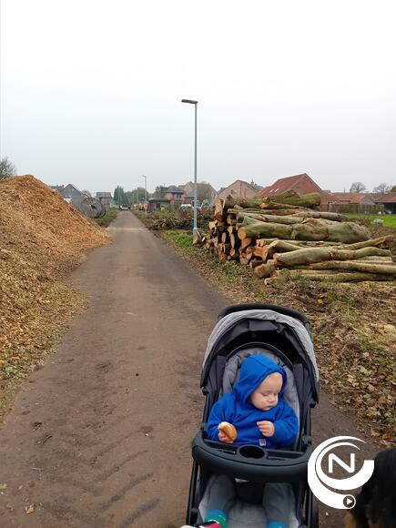 Berkemus werken voor tunnel - bomen gekapt 