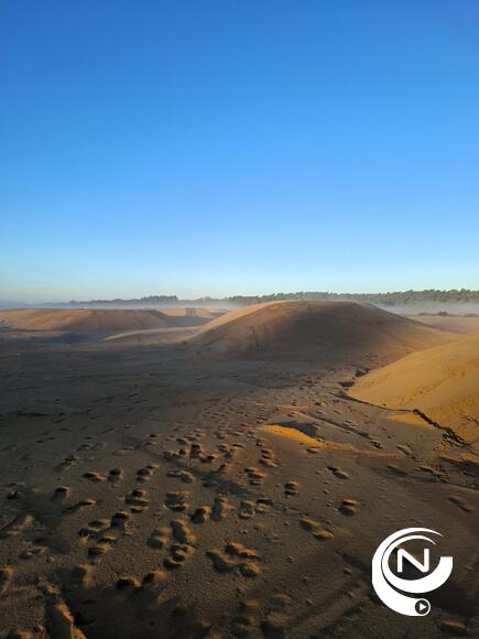 Herstel van zeldzaam stuifduinlandschap op voormalig vliegveld in Malle.