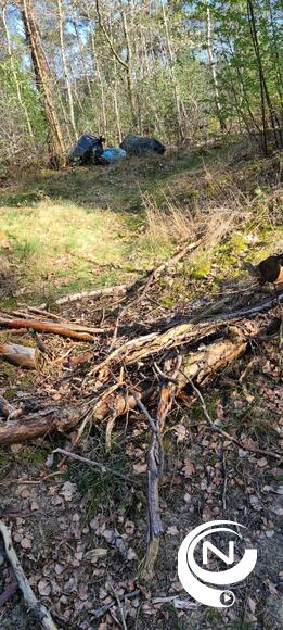 Schande : sluikstort in Herentalse bossen aan Heistraat, buurt Toeristentoren 
