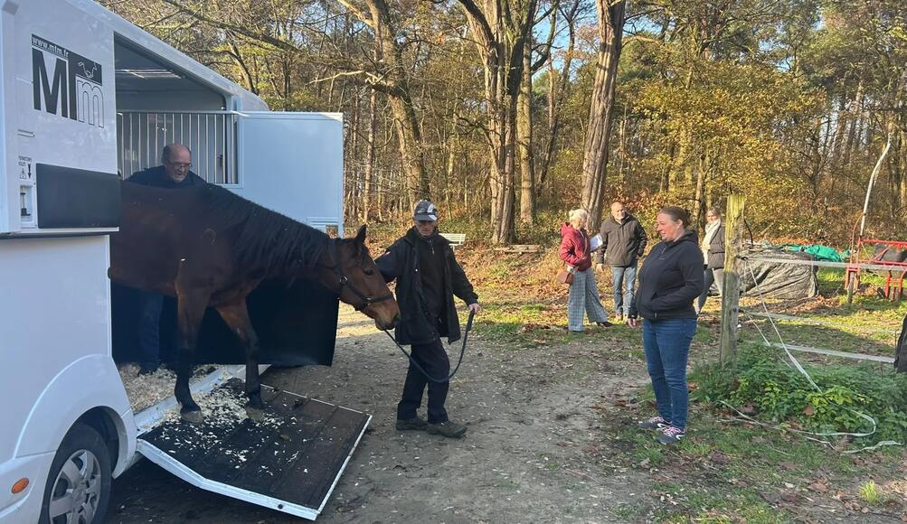 olen paarden foto Jef Laureys
