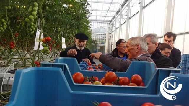 Spaanse tomatentelers bezoeken serres Luc Beirinckx in Noorderwijk en Merksplas 