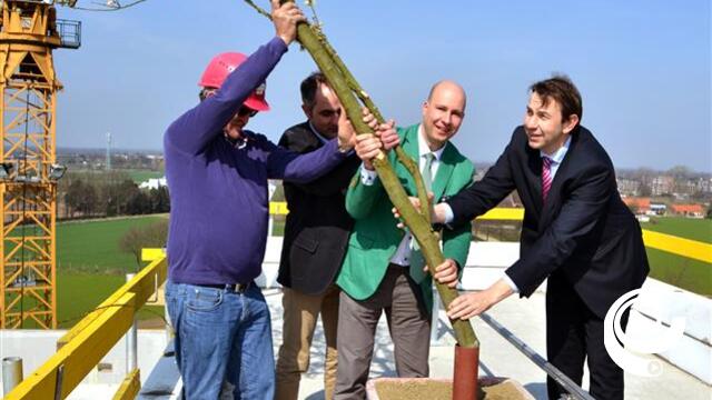 Nieuwbouw kantoor IOK bereikt hoogste punt : meiboomplanting