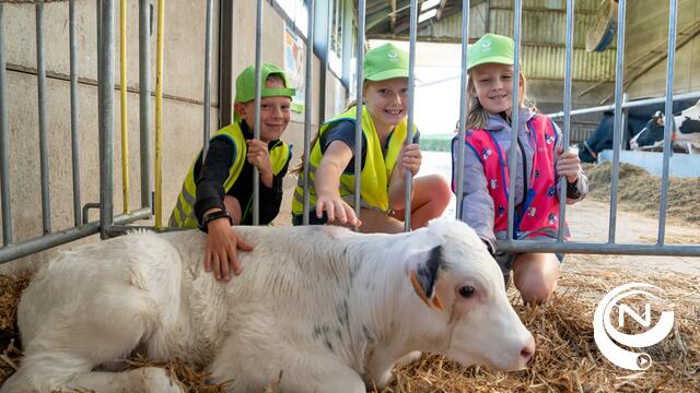 285 leerlingen uit Mol zetten melkveebedrijf Breykenshoeve op stelten