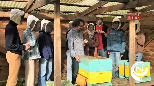 Het Vlaams Bijeninstituut trekt aan de alarmbel: "Imkers zien massale bijensterfte"