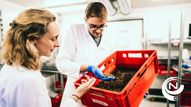 Deelnemers leren insecten kweken en verwerken tijdens uitverkochte opleiding van expertisecentrum RADIUS (Thomas More)