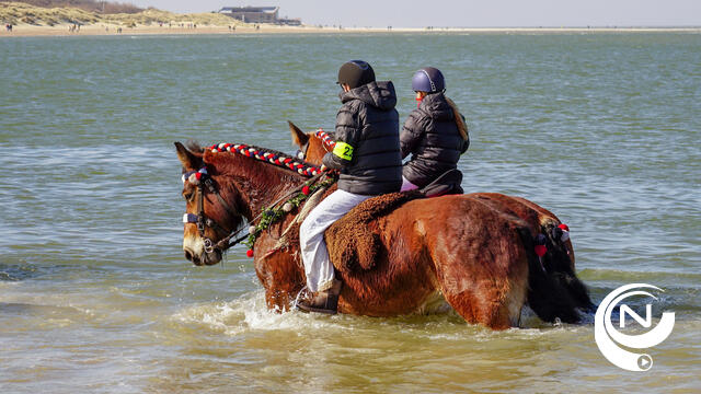 Tips4Trips Wedstrijd NNieuws : Schouwen-Duiveland < onthaasten aan zee, wellness en romantisch genieten in Renesse