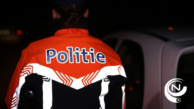 E313 Geel : trucker overleeft aanrijding op pechstrook niet