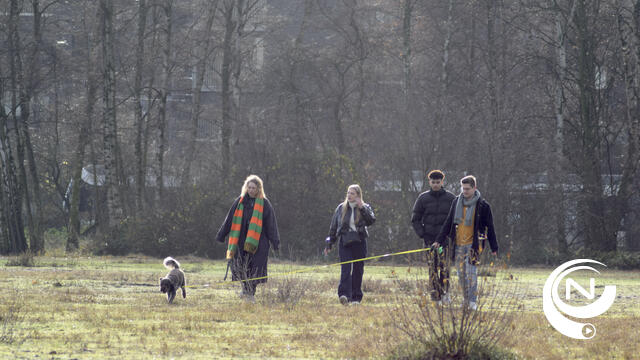 De groei van de populariteit van wandelen in Nederland: topwandelingen en paden
