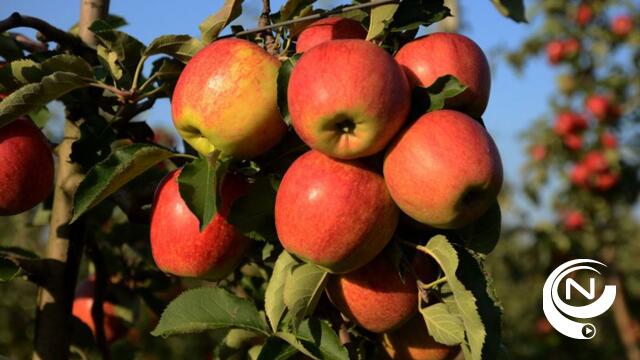 Er leven 100 miljoen bacteriën op een doorsnee appel... maar dat is eigenlijk een goede zaak