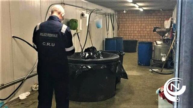 Parket : 'Cocaïnewasserij ontdekt aan Huiskens Arendonk: 11 arrestaties, 51 kg cocaïne' - vid