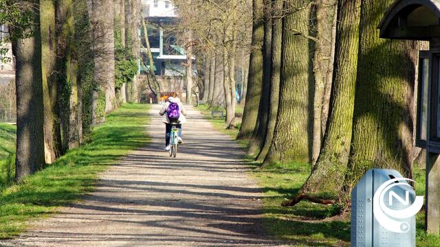 In wijken vol hoge bomen met grote kruinen gaan minder pillen over de toonbank, stelt onderzoek van KU Leuven