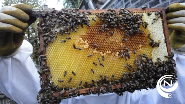 N-VA Herentals vraagt aandacht voor bijen 