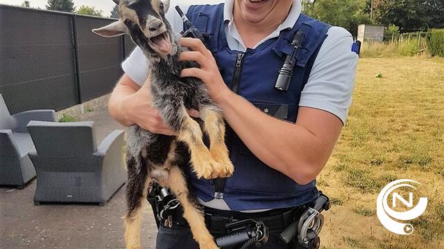 Bokje gevonden aan Langenheuvel Grobbendonk