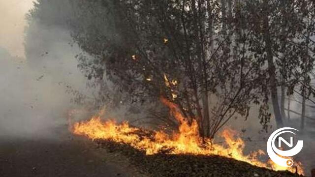 2 Brandweerkorpsen blussen bosbrand Lavendelweg in Herentals 