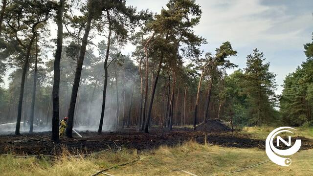 4 brandweerkorpsen in actie omdat bosbrandje op grens Lichaart-Lille moeilijk bereikbaar is 