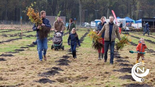 Bosgroepen provincie Antwerpen planten 15.600 nieuwe bomen