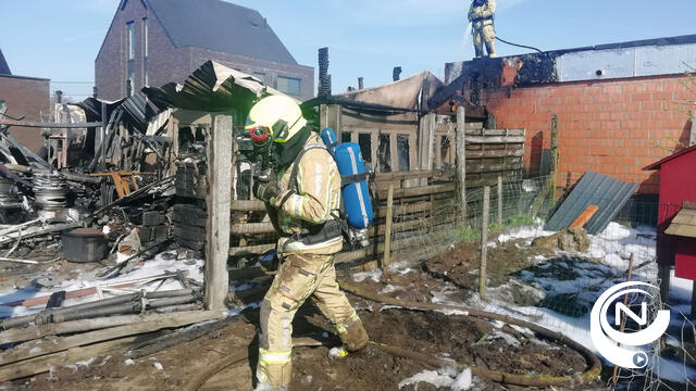 Bewoner lichtgewond bij brand in bijgebouw in Kapelstraat : 2 auto's vernield
