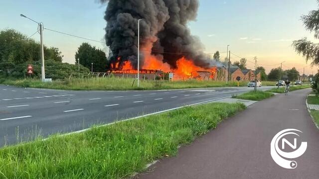 Uitslaande brand in loods in Ranst: brandweer waarschuwt voor asbest, opvangcentrum Fedasil geëvacueerd