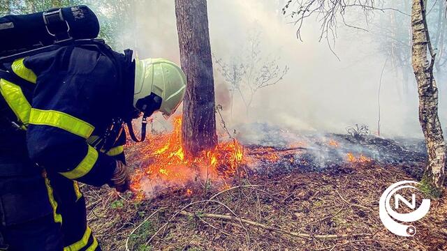 Immense brand in natuurgebied De Liereman :circa 30 ha heide en veen in de as gelegd, mogelijk brandstichting