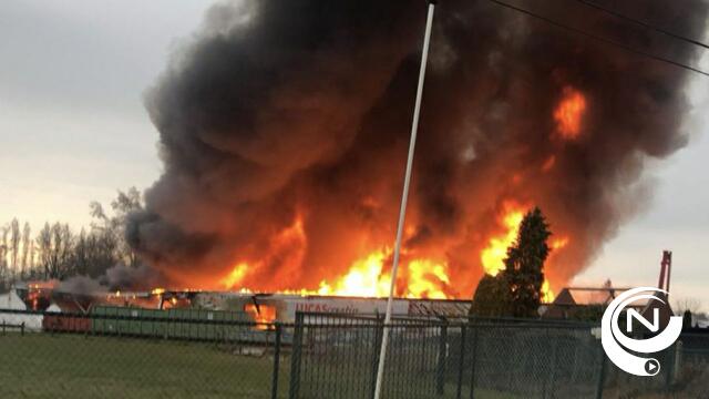 Uitslaande brand bij Lucas Creativ kunstschildershandel in Meerhout - vid drone view - update