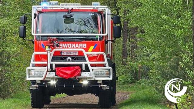 Uitslaande brand vernielt chalet op camping Familiestrand in Mol  Postel : 1 gewonde