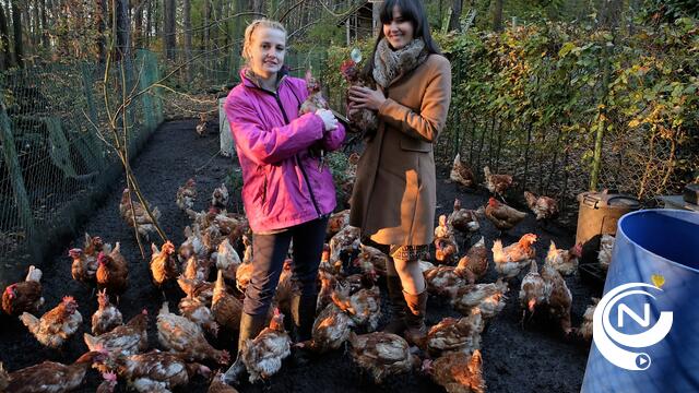 Elke Bormans: 'Red een kip uit een legbatterij door je adoptie'