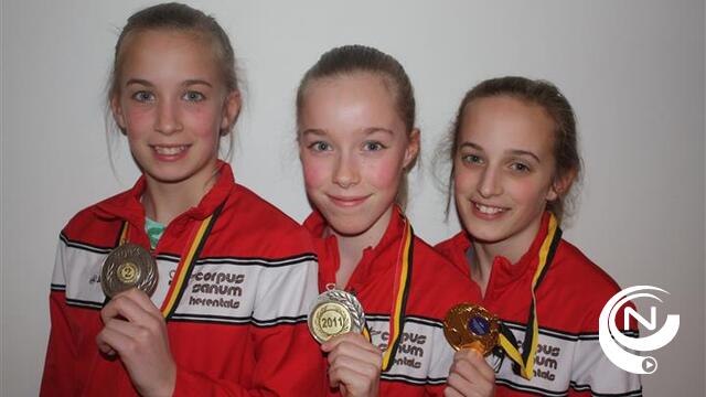 Drie zussen leven toe naar Vlaamse kampioenschappen Trampoline