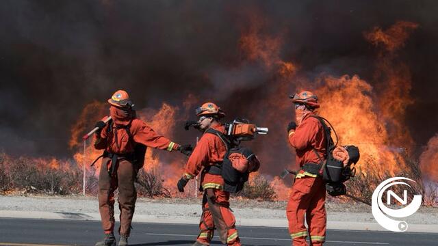  Californië vraagt Canada en Australië om hulp om bosbranden te bestrijden: "Dit hebben we in jaren niet gezien"